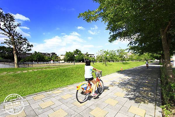 _MG_6393.JPG _MG_6393.JPG