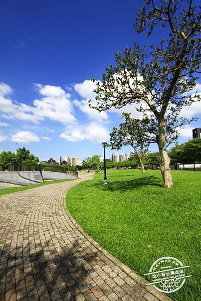 _MG_6409.JPG _MG_6409.JPG