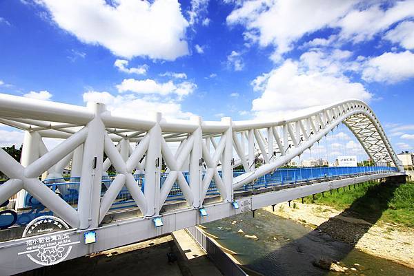 _MG_6437.JPG _MG_6437.JPG