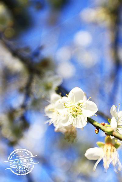 IMG_0985.JPG IMG_0985.JPG