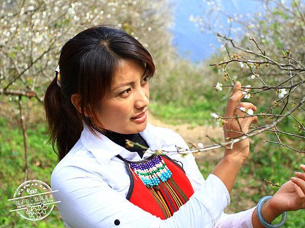 3275401_1.jpg 3275401_1.jpg