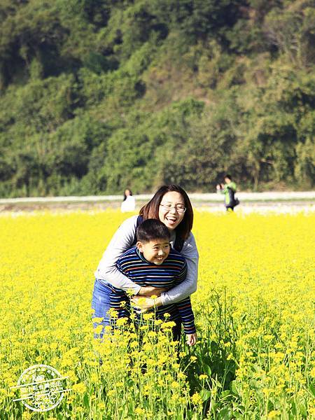 _MG_8523.jpg _MG_8523.jpg