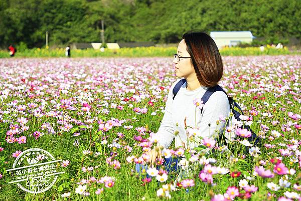 _MG_8499.jpg _MG_8499.jpg