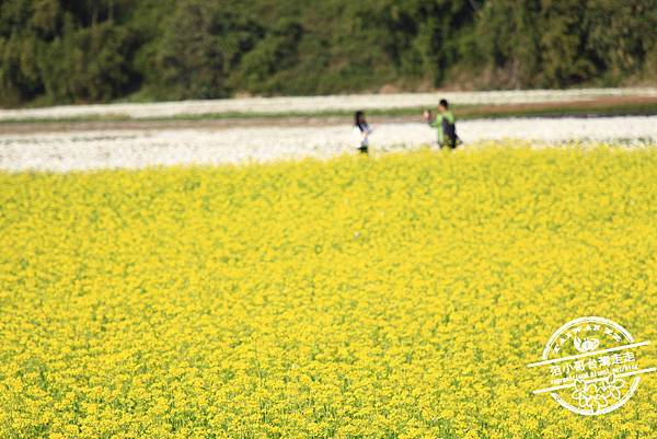 _MG_8539.JPG _MG_8539.JPG