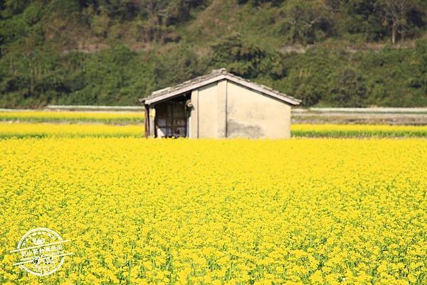 _MG_8566.jpg _MG_8566.jpg