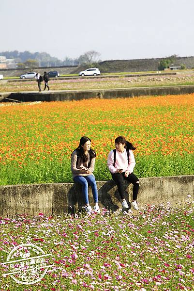 _MG_8546.JPG _MG_8546.JPG