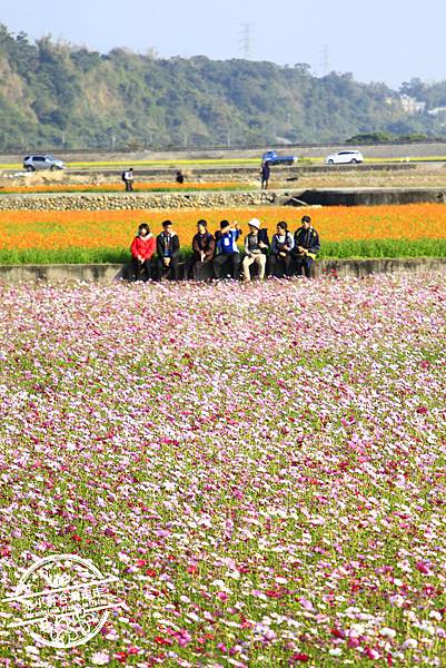 _MG_8555.JPG _MG_8555.JPG