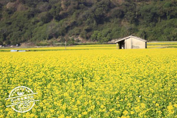 _MG_8581.JPG _MG_8581.JPG