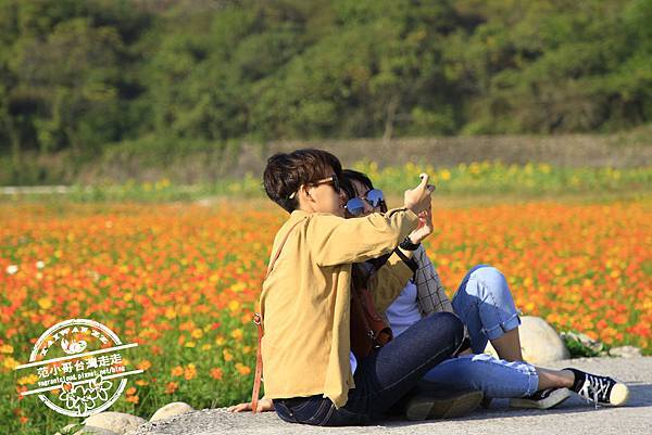 _MG_8614.JPG _MG_8614.JPG