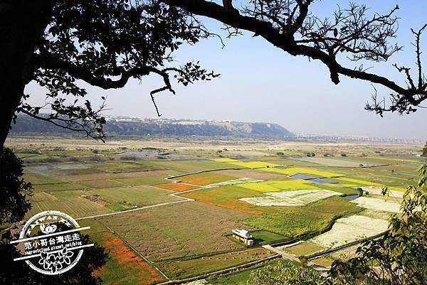 _MG_8617.JPG _MG_8617.JPG