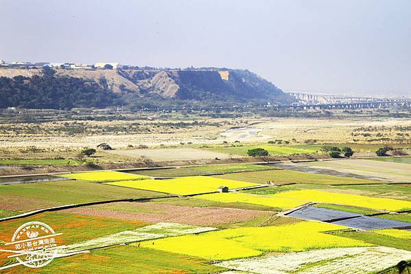 _MG_8654.jpg _MG_8654.jpg