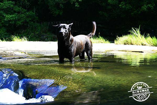 _MG_0522.JPG _MG_0522.JPG