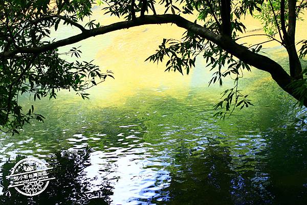 _MG_0543.JPG _MG_0543.JPG