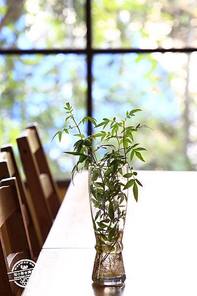 _MG_4785.JPG _MG_4785.JPG