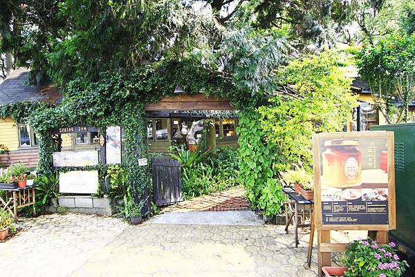 _MG_4866.JPG _MG_4866.JPG