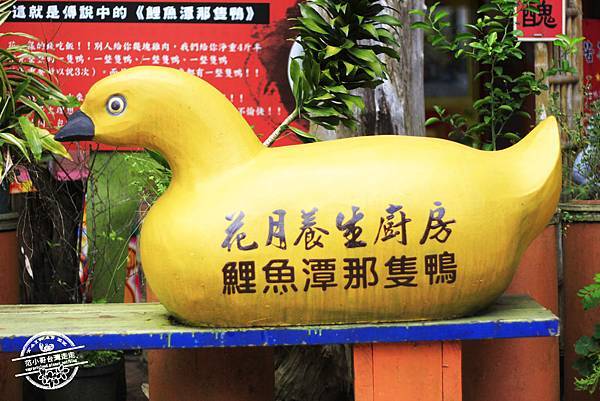 _MG_3049.JPG _MG_3049.JPG