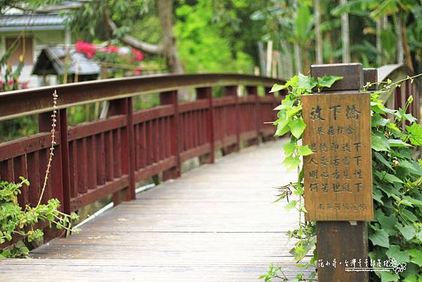 _MG_1426.JPG _MG_1426.JPG