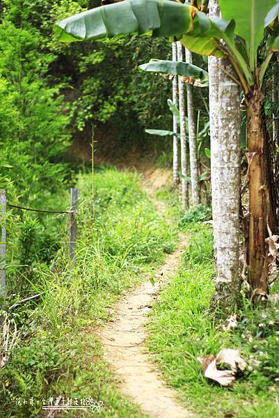 _MG_1437.JPG _MG_1437.JPG