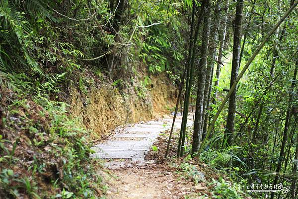 _MG_1446.JPG _MG_1446.JPG