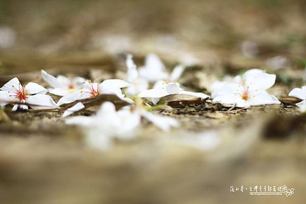 _MG_1479.JPG _MG_1479.JPG