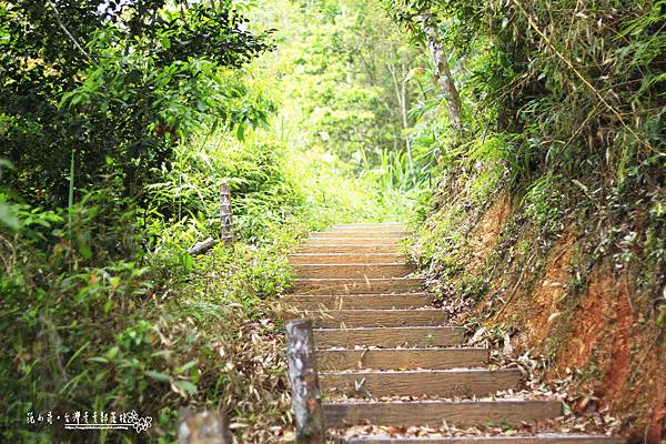 _MG_1448.JPG _MG_1448.JPG