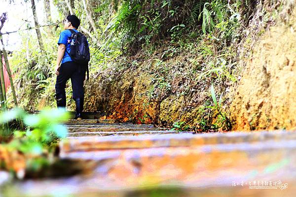 _MG_1443.JPG _MG_1443.JPG