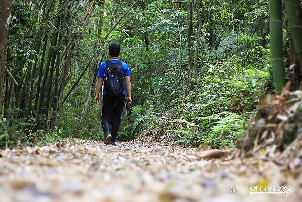 _MG_1496.JPG _MG_1496.JPG