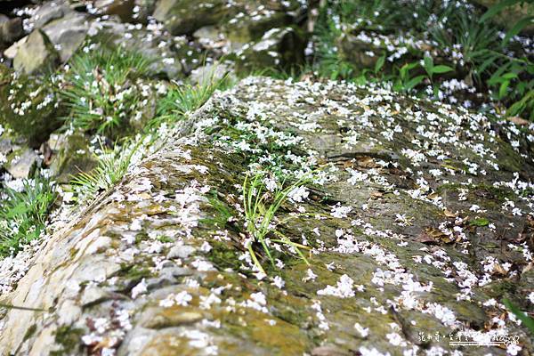 _MG_1564.JPG _MG_1564.JPG