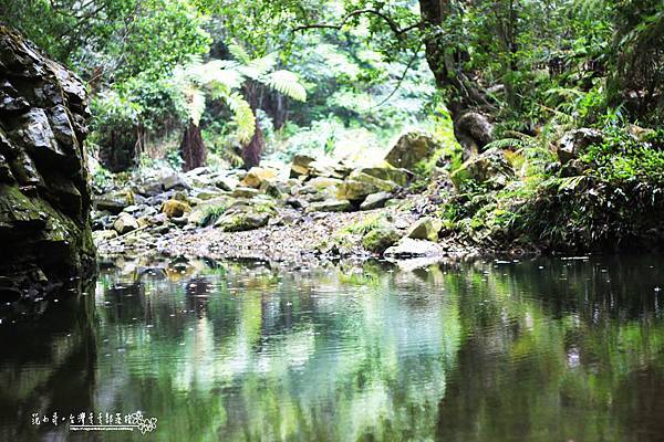 _MG_1588.JPG _MG_1588.JPG