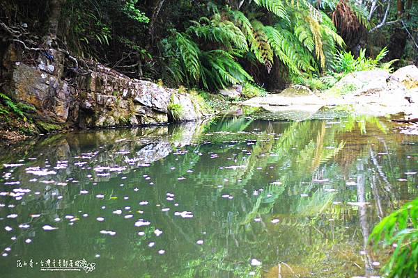 _MG_1648.JPG _MG_1648.JPG