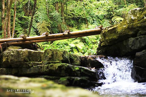 _MG_1754.JPG _MG_1754.JPG