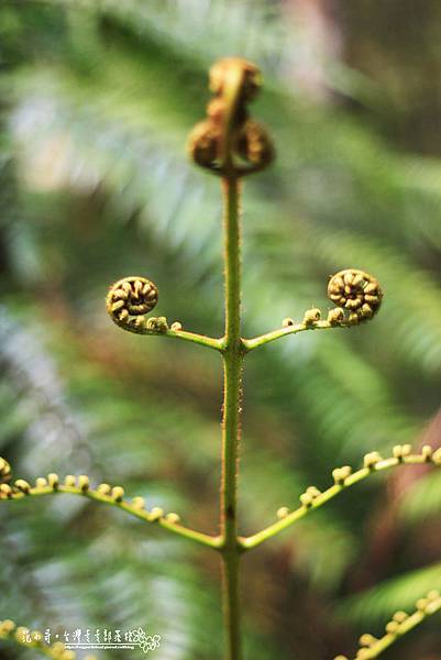 _MG_1786.JPG _MG_1786.JPG