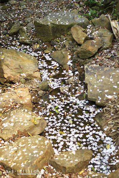 _MG_1765.JPG _MG_1765.JPG