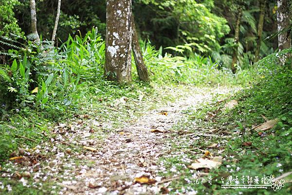 _MG_1814.JPG _MG_1814.JPG