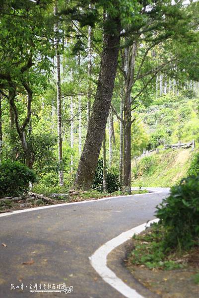 _MG_1868.JPG _MG_1868.JPG