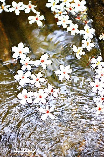 _MG_1837.JPG _MG_1837.JPG