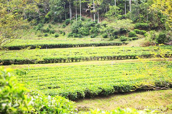 _MG_1858.JPG _MG_1858.JPG