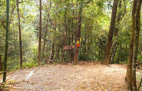 102337.jpg 102337.jpg