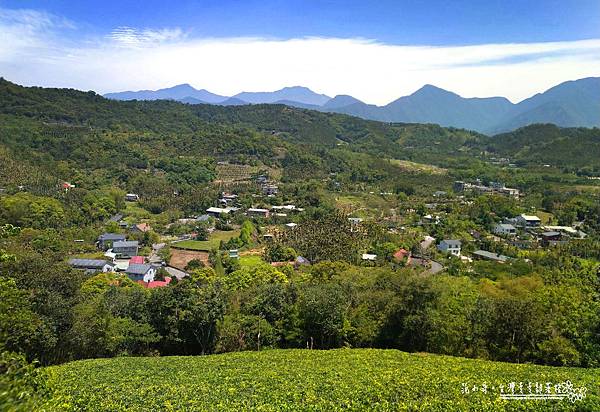 102340.jpg 102340.jpg