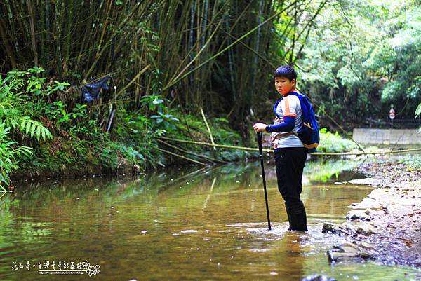 _MG_2310.JPG _MG_2310.JPG