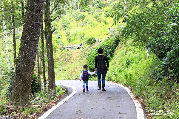 _MG_2247.JPG _MG_2247.JPG