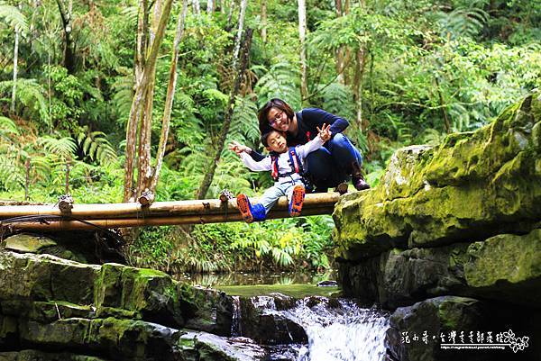 _MG_2337.JPG _MG_2337.JPG