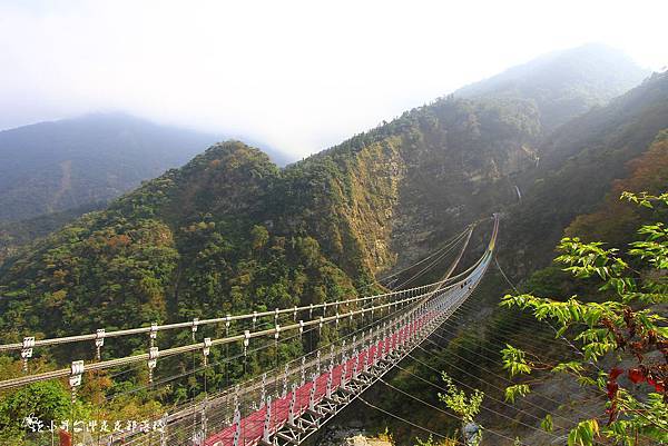 _MG_3726.JPG _MG_3726.JPG