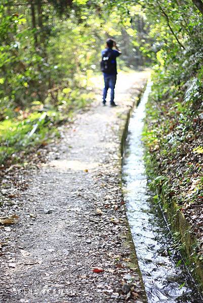 _MG_3705.JPG _MG_3705.JPG