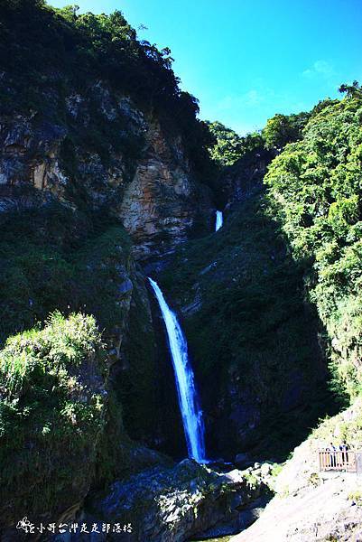 IMG_9661.JPG IMG_9661.JPG