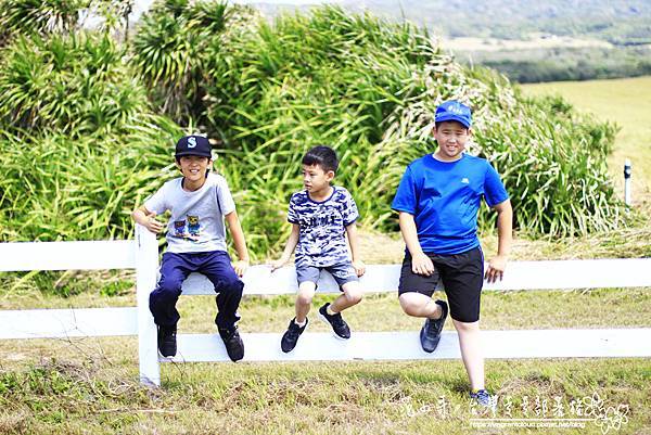 _MG_1668.JPG _MG_1668.JPG