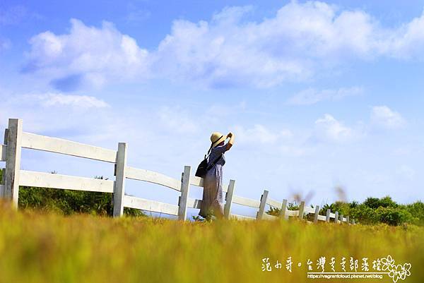 _MG_1684.JPG _MG_1684.JPG