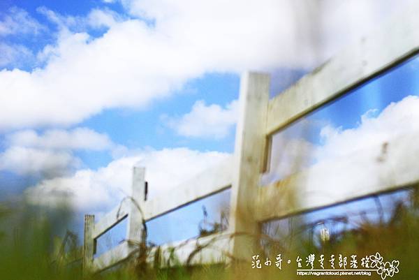 _MG_1736.JPG _MG_1736.JPG