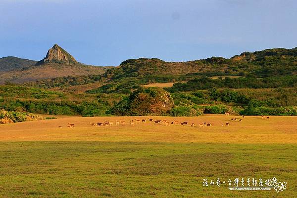 181964616_10159447526859452_7143640515550221659_n.jpg 181964616_10159447526859452_7143640515550221659_n.jpg