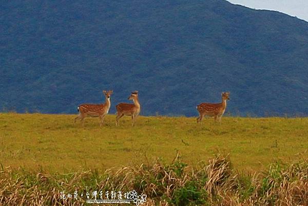 181707553_10159447526724452_8135132699150177171_n.jpg 181707553_10159447526724452_8135132699150177171_n.jpg